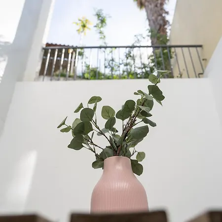 Taipas Cozy Apartmán